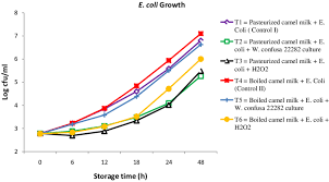 It is known to have a therapeutic potential against many diseases including cancer 42. Grow And Survival Of E Coli In The Lps Activated Pasteurized And Download Scientific Diagram