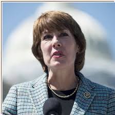 Female Candidates in 2018 Midterm Election