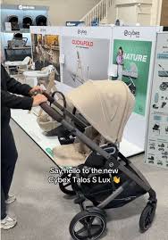 Image result for Beige 1988 ARO