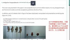 Image result for Indigofera tanganyikensis