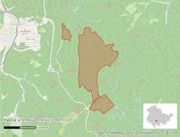 Morast sepulchral hymns of disenchantment. Marktal Und Morast Mit Finsterem Loch Natur Wald Wandel Natur Wald Wandel