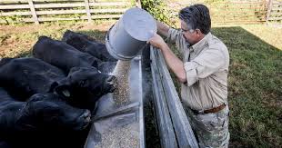 It's A Lifestyle: A Day On Zion's Farm