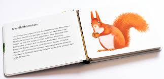 Und vor allem müllers haustiere. Tiere Im Wald Amazon De Muller Thomas Bucher