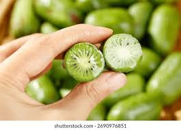 Image result for foto minikiwi