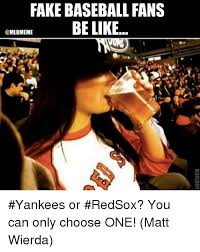 Baltimore orioles, boston red sox, new york yankees, tampa bay rays, toronto blue jays al central : Anti Yankees Memes