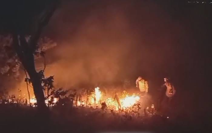 Incêndio consome mais de 1,2 mil hectares na Chapada dos Veadeiros | G1
