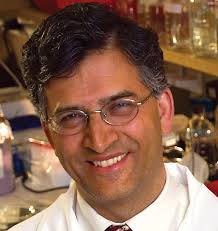 2020 BioLegend William E. Paul Award for Excellence in Cytokine Research