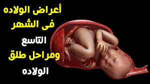ماذا تفعل الحامل عند نزول ماء الجنين بدون طلق افعلى هذه الأمور على الفور Youtube