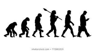 human evolution images stock photos vectors shutterstock