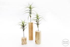 We've already shared some creative air plant displays, and today we'd like to speak about usual plant displays. Gorgeous Green Decor 3 Air Plant Displays Reclaim Design