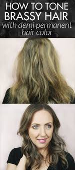Best Toner For Brassy Hair Sally S Beauty Meg O On The Go Brassy Hair Permanent Hair Color Beauty Supplies Hair