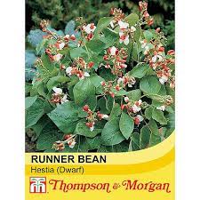 Rare plants · fragrant flowers · exotic fruit trees. Runner Bean Hestia Dwarf Seeds Thompson Morgan