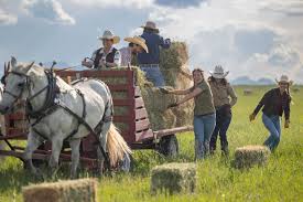 Heartland on CBC added a new photo. - Heartland on CBC