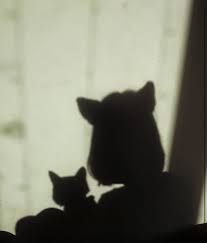 Girl Cat Ulzzang Shadow Ulzzanggirl Korea Koreangirl Sun Cute Kawaii Ilustrasi Ilustrasi Karakter Seni Animasi