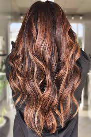Chestnut hair is a shade of brown hair that has a slight reddish tone to it, and is often broken down into the two colors of chestnut brown or light chestnut brown hair. 34 Rich And Soft Chestnut Hair Color Variations For Your Effortless Look Chestnut Hair Color Brunette Hair Color Chestnut Hair