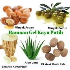 Campur 1 sdt biji pala, 1 gelas khasiat pala untuk obat maag, masuk angin dan cegukan. Khasiat Buah Pala Gel Kayu Putih Ramuan Herba Asli Facebook