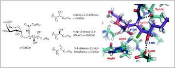 If you agree to our use of cookies, please continue to use our site. 3 4 Dideoxy 3 3 4 4 Tetrafluoro And 4 Oh Epimeric 3 Deoxy 3 3 Difluoro A Galcer Analogues Synthesis And Biological Evaluation On Human Inkt Cells Stimulation European Journal Of Medicinal Chemistry X Mol