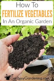 But using that formula, if i had a theoretical fertilizer with 100% nitrogen, i would apply 1 lb per 100 sq. Pin On Somewhat Victorious Garden