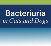 Free online animal medicine and veterinary studies courses 2020 histology is the study of cell structure, tissue structure, and organ structure and how these affects the function of biological. Vetmedteam Providing Educational Pathways To Great Careers