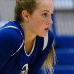 All You Need To Know: Indiana Top 250