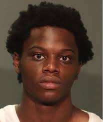 On June 6th, 2024, members of the Guttenberg Police Department's Patrol  Division responded to the area of Lydia Drive and River Road, after  receiving a report of a criminal mischief to a