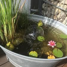 Miniteich Fur Balkon Oder Terrasse Schnell Selber Machen Miniteich Selber Machen Garten Wasserbecken Garten