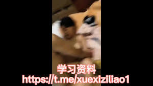 漂亮的高中生