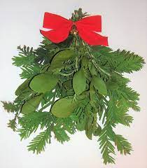 Where this appears to be the case, try inserting some more seeds on the branches to see if you can. Amazon Com Allo Botanicals Fresh Large Real Mistletoe Christmas Holiday Kissing Decoration With California Redwood And Rosemary In Gift Bag Home Kitchen