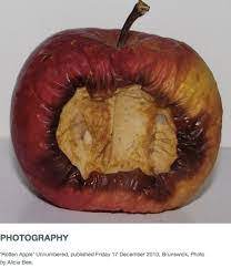 With The Apples Rotting Maybe It S Time To Back Up Your Apps In 2021 Apple Beginning And End Art Gcse A Level Art