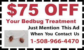 Www.5starextermination.com 5 star pest control. Hopkinton Ma Exterminator Pest Control Services From D T Pest Control Inc
