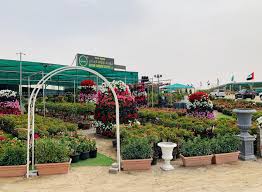 Graze through to find tools and accessories, along with vegetable and flower seeds, pest control items, and. Gover Garden Centre Llc