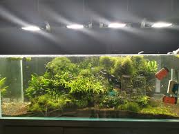 120 x 30 x 30 (wajib diberi sabuk keliling untuk penguat) itulah tadi beberapa ketebalan kaca untuk aquarium. 6 Feet Aquascape Tank Full Set Pet Supplies Pet Accessories On Carousell