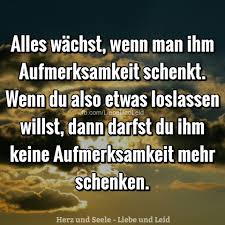 Alles Wachst Wenn Man Ihm Nachdenkliche Spruche Weisheiten Spruche Und Spruche