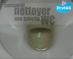 Comment Enlever Les Mauvaises Odeurs Des Toilettes Wc Comment Nettoyer Nettoyant Detartrer Wc