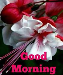 .kosong aeon nilai, jobs for aeon nilai, aeon nilai job openings, aeon nilai job vacancies, aeon nilai job opportunities at jawatan kosong 2020. One Way Car Wash Di Bandar Nilai