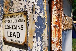 Lead Health Problems Caused By Lead Niosh Cdc