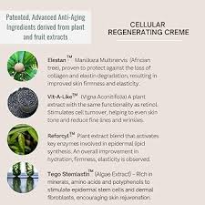 Image result for Vigna multinervis