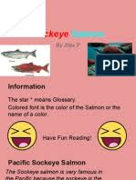 These are my two favourite photos that he included, the second one is absolutely amazing. Tweed Salmon Fishing Spawn Biology Salmon