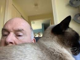 Are siamese cats equally affectionate with humans and other cats?