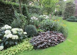vaste planten scheuren verplanten en vernieuwen stappenplan groene passies verplanten planten tuinplanten