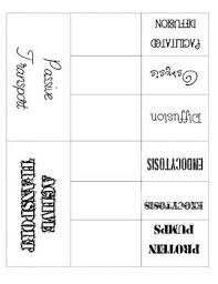 Active And Passive Transport Organizer In 2021 Cell Transport Teaching Biology Biology Worksheet