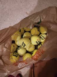 Please consider buying some cookies to support the girl scouts using the  link below! They can be delivered to your house with no shipping charge!