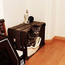 バス トイレ 一人暮らし 木箱のインテリア実例 2016 06 06 01 35 20 roomclip ルームクリップ 猫 トイレ 猫部屋 ねこ インテリア