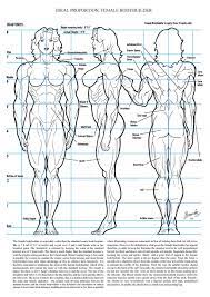 Imaginefx how to draw and paint anatomy vol 2. Pin On Anatomy