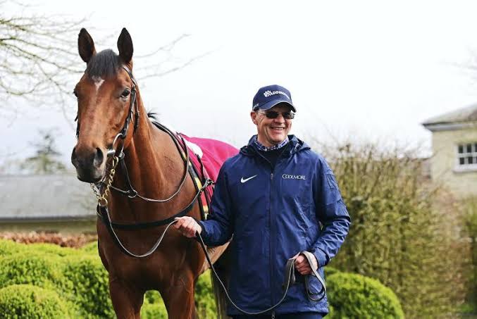 TALKING TRAINER: Aidan O'Brien - 'The lads are not afraid to push him out  there' 22 March 2024 Premium