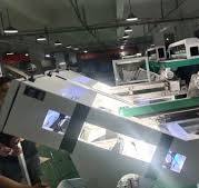 Juniper Color Sorting Machine For Juniper Color Sorter From ...