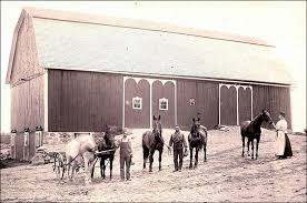 Yes, box stalls are a recent innovation for the horse barn. Sc Rewind The Story Of Barns Standardbred Canada