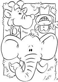 Animales Que Habitan En La Selva Y Que Viven En El Bosque Con Imagenes Animales Faciles De Dibujar Dibujo De Animales Dibujos De Animales