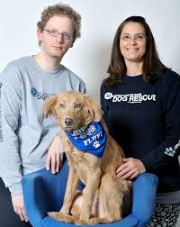 20,957 likes · 448 talking about this. Meet The Local Star From This Year S Puppy Bowl