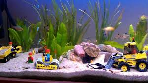 Acuario Aquariums Aquarium Art